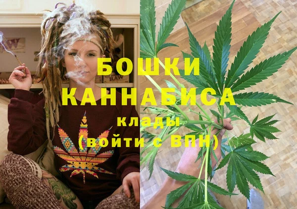 тгк Медвежьегорск