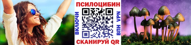 Псилоцибиновые грибы мухоморы  Купить закладки  Звенигово 