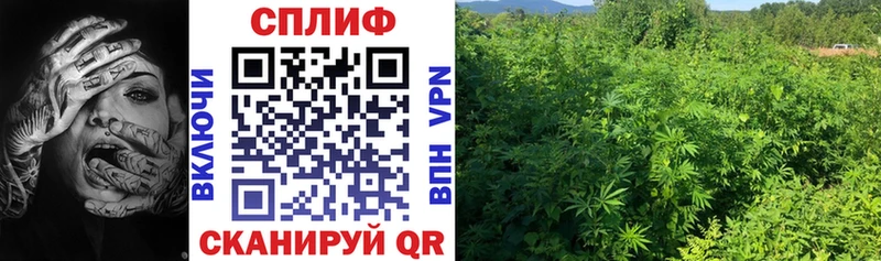Каннабис Ganja Звенигово